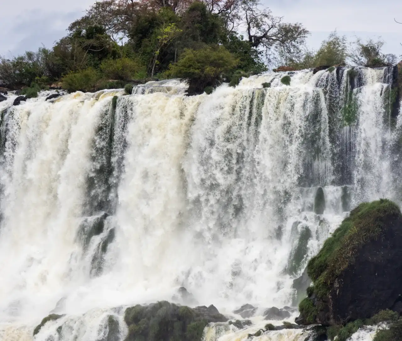 Cascadas de Iguazú vistas de cerca, con la selva alrededor