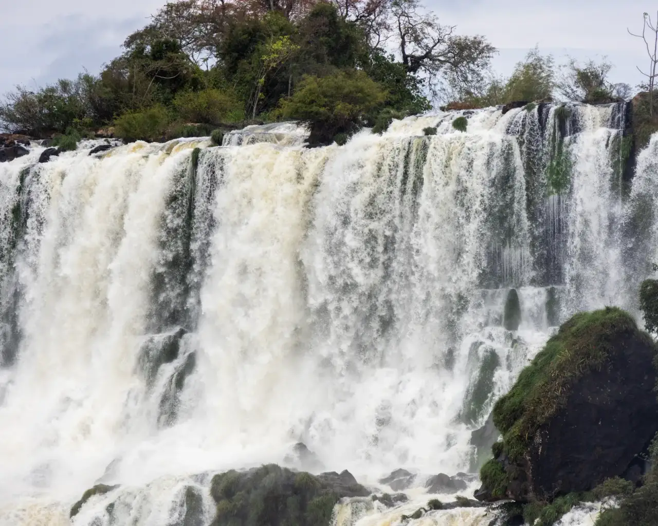 Cascadas de Iguazú vistas de cerca, con la selva alrededor