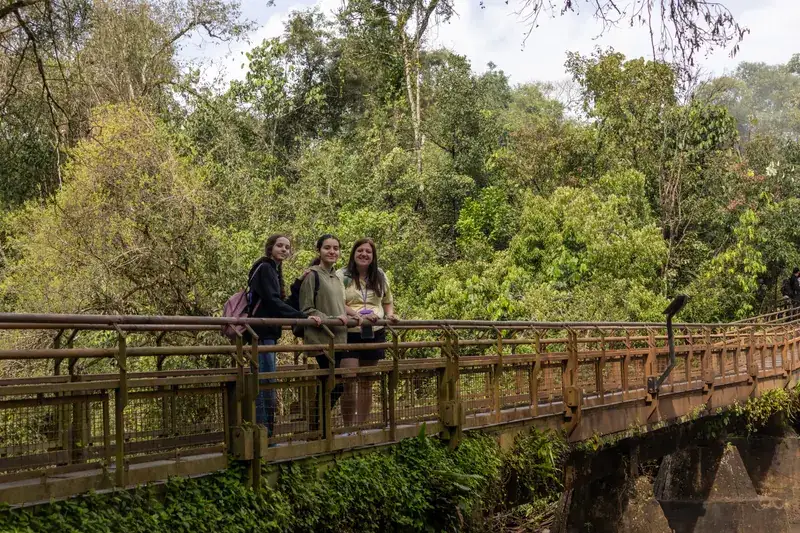 Visitantes recorren una pasarela entre la vegetación del Parque Nacional Iguazú